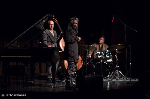 Peace_By_Peace-11-11_037